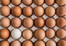 Ecovalia y ASOBIO desmienten afirmaciones erróneas sobre los huevos ecológicos publicados por la OCU y piden rectificaciones