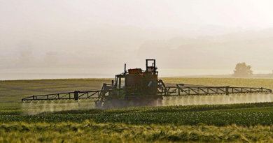 La renta agraria alcanza los 41.262 millones de euros en 2025, un 13 % más que el año anterior