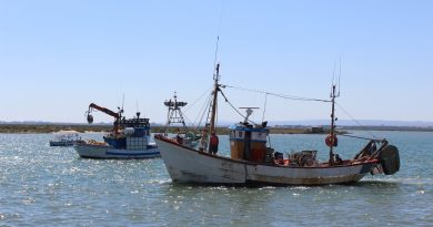 España subraya que la recuperación de recursos avala la decisión de aumentar la actividad pesquera en el Mediterráneo España subraya que la recuperación de recursos avala la decisión de aumentar la actividad pesquera en el Mediterráneo