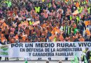UPA Andalucía acude a la histórica manifestación en Bruselas para reclamar una PAC fuerte, común y que defienda la agricultura y la ganadería familiar UPA Andalucía acude a la histórica manifestación en Bruselas para reclamar una PAC fuerte, común y que defienda la agricultura y la ganadería familiar