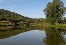 CREA Andalucía exige un cambio de modelo en la planificación hidrológica del Guadalquivir: el agua al servicio del interés general