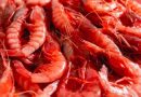 El Ministerio de Agricultura, Pesca y Alimentación asigna 9 toneladas adicionales de gamba roja a la flota de arrastre del Mediterráneo El Ministerio de Agricultura, Pesca y Alimentación asigna 9 toneladas adicionales de gamba roja a la flota de arrastre del Mediterráneo