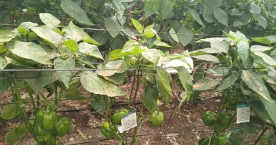 COAG Almería exige la publicación inmediata de la Orden de Reducción de Módulos para la Renta en estimación objetiva de 2025 COAG Almería exige la publicación inmediata de la Orden de Reducción de Módulos para la Renta en estimación objetiva de 2025