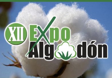 Expoalgodón 2025