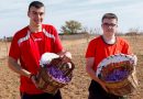 Los jóvenes europeos ya cuentan con una Estrategia para incorporarse a la agricultura y ganadería: UPA pide su desarrollo urgente Los jóvenes europeos ya cuentan con una Estrategia para incorporarse a la agricultura y ganadería: UPA pide su desarrollo urgente