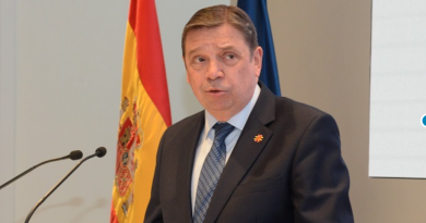 España pedirá a la Comisión Europea propuestas satisfactorias para la flota española España pedirá a la Comisión Europea propuestas satisfactorias para la flota española