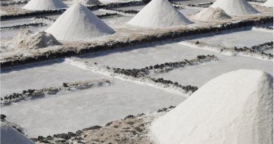 El Ministerio de Agricultura, Pesca y Alimentación somete a información pública previa la normativa sobre sal ecológica