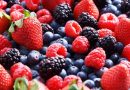 Freshuelva prevé un ligero incremento del 1% en la superficie de berries para la campaña 2026 Freshuelva prevé un ligero incremento del 1% en la superficie de berries para la campaña 2026