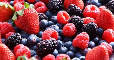 Freshuelva prevé un ligero incremento del 1% en la superficie de berries para la campaña 2026 Freshuelva prevé un ligero incremento del 1% en la superficie de berries para la campaña 2026