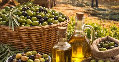 El sector del olivar cierra un año de comercialización récord marcado por la caída de precios El sector del olivar cierra un año de comercialización récord marcado por la caída de precios