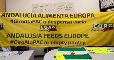 “A los andaluces nos van a escuchar en Bruselas: está en juego la alimentación de todos” “A los andaluces nos van a escuchar en Bruselas: está en juego la alimentación de todos”