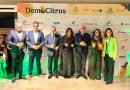 DemoCitrus reúne en Sevilla a más de 450 profesionales para impulsar la innovación en el sector de los cítricos