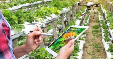 VÍDEO: Fomento de la participación de las cooperativas agroalimentarias en proyectos de innovación VÍDEO: Fomento de la participación de las cooperativas agroalimentarias en proyectos de innovación
