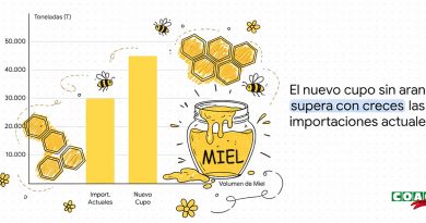 UE-Mercosur: Bruselas sacrifica la apicultura para alimentar el negocio de las multinacionales