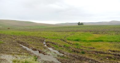 Los jóvenes reclaman un reparto prioritario y proporcional de los fondos de recuperación del campo tras las borrascas Los jóvenes reclaman un reparto prioritario y proporcional de los fondos de recuperación del campo tras las borrascas