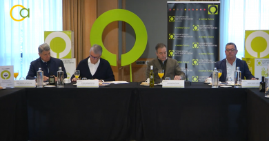 Mercosur, la nueva PAC y el proteccionismo de Trump agitan al olivar andaluz