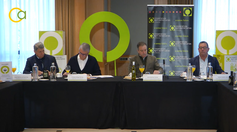 Mercosur, la nueva PAC y el proteccionismo de Trump agitan al olivar andaluz