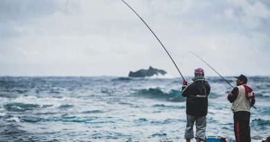 España recaba apoyos de los Estados miembros para flexibilizar el reglamento de control pesquero