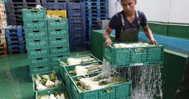 UPA valora positivamente la regularización de personas migrantes: “Son necesarias”