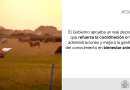 El Gobierno aprueba un real decreto que refuerza la coordinación entre administraciones y mejora la gestión del conocimiento en bienestar animal El Gobierno aprueba un real decreto que refuerza la coordinación entre administraciones y mejora la gestión del conocimiento en bienestar animal