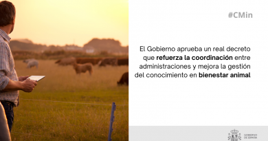 El Gobierno aprueba un real decreto que refuerza la coordinación entre administraciones y mejora la gestión del conocimiento en bienestar animal El Gobierno aprueba un real decreto que refuerza la coordinación entre administraciones y mejora la gestión del conocimiento en bienestar animal