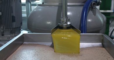 El cooperativismo andaluz pide reforzar la posición del productor ante la pérdida de rentabilidad del olivar