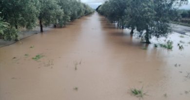 El Gobierno aprueba las líneas de financiación de 100 millones de euros para el sector agrario y pesquero afectado por las borrascas en Andalucía y Extremadura El Gobierno aprueba las líneas de financiación de 100 millones de euros para el sector agrario y pesquero afectado por las borrascas en Andalucía y Extremadura