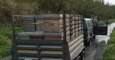 COAG Andalucía pide incluir a apicultores y sectores con desplazamientos en las ayudas al gasóleo COAG Andalucía pide incluir a apicultores y sectores con desplazamientos en las ayudas al gasóleo