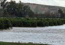 El Gobierno de España deja sin ayudas a los agricultores de 39 municipios de Sevilla afectados por el temporal