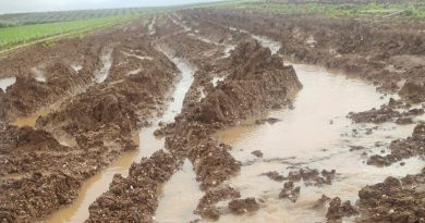 COAG Almería: La rectificación de la orden de ayudas por los temporales debe incluir también los municipios excluidos de Almería COAG Almería: La rectificación de la orden de ayudas por los temporales debe incluir también los municipios excluidos de Almería