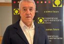 Menos ansiedad y más estrategia en el aceite de oliva Menos ansiedad y más estrategia en el aceite de oliva