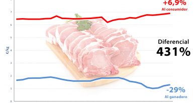 Los supermercados no están trasladando al consumidor la caída del 29% de la carne de cerdo en el campo