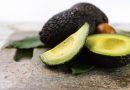 Crecen las almazaras andaluzas que apuestan por la Producción Ecológica para mejorar su rentabilidad