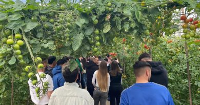 El IFAPA desarrolla durante 2026 un amplio calendario de cursos en Producción Integrada en Andalucía El IFAPA desarrolla durante 2026 un amplio calendario de cursos en Producción Integrada en Andalucía