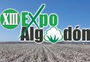 En marcha la XIII edición de Expoalgodón para optimizar el cultivo del algodón