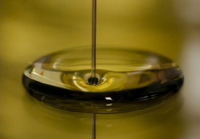 El aforo de olivar estima una producción de 1.261.200 t de aceite de oliva para la campaña 2026/27.
