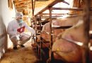 El plazo para solicitar ayudas por 3,2M€ para asesoramiento en sanidad y bienestar animal finaliza el 27 de julio