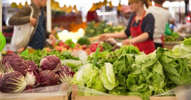 Las exportaciones agroalimentarias a Suiza crecen un 21% y alcanzan los 161,4 M€ de enero a abril