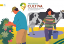 El Ministerio de Agricultura, Pesca y Alimentación abre el plazo de solicitudes para participar en el programa Cultiva 2026