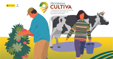 El Ministerio de Agricultura, Pesca y Alimentación abre el plazo de solicitudes para participar en el programa Cultiva 2026 El Ministerio de Agricultura, Pesca y Alimentación abre el plazo de solicitudes para participar en el programa Cultiva 2026