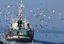 El Ministerio de Agricultura, Pesca y Alimentación convoca ayudas por 200.000 euros para las organizaciones profesionales del sector pesquero