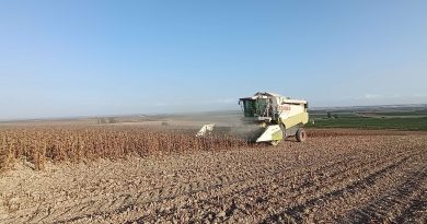 ASAJA Córdoba destaca la mejora de la calidad del girasol esta campaña, aunque los rendimientos no alcanzan las expectativas