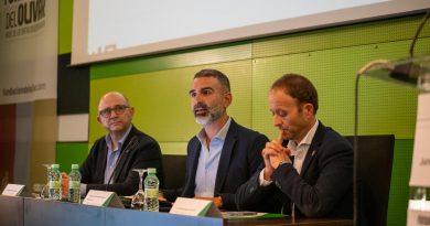 El aforo del olivar estima para la campaña 2026/27 una producción de 1.261.200 toneladas de aceite de oliva en Andalucía El aforo del olivar estima para la campaña 2026/27 una producción de 1.261.200 toneladas de aceite de oliva en Andalucía
