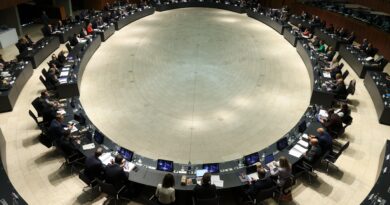 Luis Planas valora el acuerdo sobre la PAC: «Hemos conseguido mantenerla como política europea”