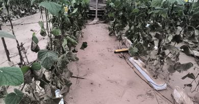COAG Almería reclama ayudas directas y un plan de prevención de avenidas e inundaciones COAG Almería reclama ayudas directas y un plan de prevención de avenidas e inundaciones